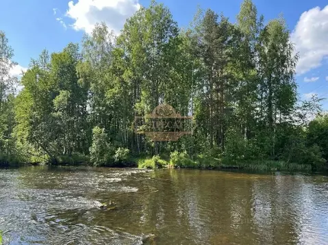 Участок в Ленинградская область, Ломоносовский район, Пениковское ...