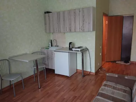 Студия Красноярский край, Красноярск ул. Борисова, 42 (21.0 м)