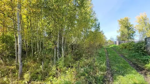 Участок в Томская область, Томский район, Богашевское с/пос, с. ...