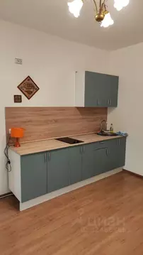 1-к кв. Санкт-Петербург ул. Лидии Зверевой, 5к1 (44.0 м)