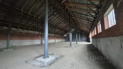 Производственное помещение в Краснодарский край, Динской район, ...