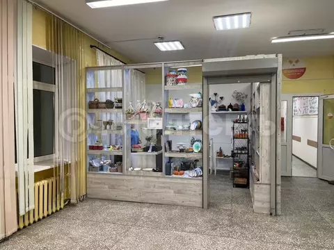 Помещение свободного назначения в Мурманская область, Мончегорск ...