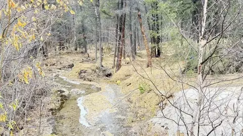 Участок в Бурятия, Улан-Удэ ул. Альпийская (7.47 сот.)