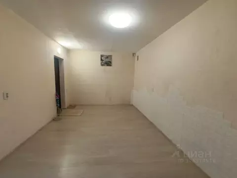 Студия Московская область, Одинцовский городской округ, Большие Вяземы ...