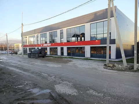 Помещение свободного назначения в Краснодарский край, Новороссийск ул. ...