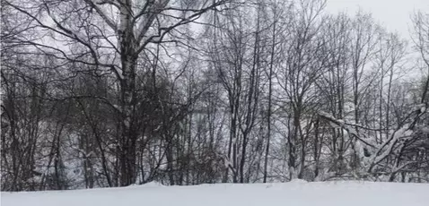 Участок в Тульская область, Тула городской округ, Плеханово рп, ...
