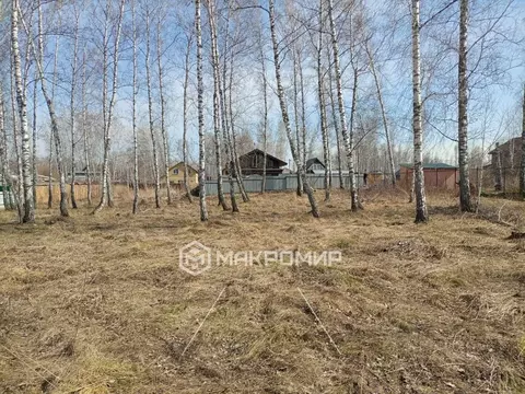 Участок в Новосибирская область, Новосибирский район, Криводановский ...