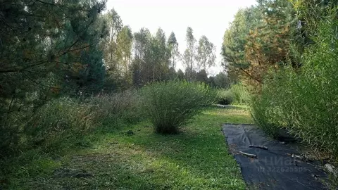 Участок в Московская область, Егорьевск муниципальный округ, д. ...