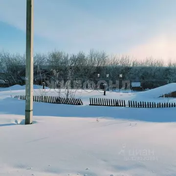 Участок в Новосибирская область, Новосибирский район, с. Ярково ...