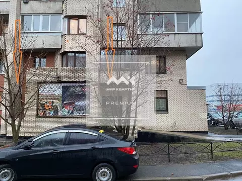 Помещение свободного назначения в Санкт-Петербург Ириновский просп., ...