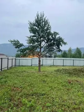 Участок в Красноярский край, Красноярск  (10.12 сот.)