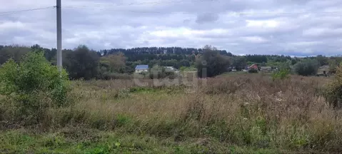 Участок в Мордовия, Саранск городской округ, д. Танеевка ул. ...