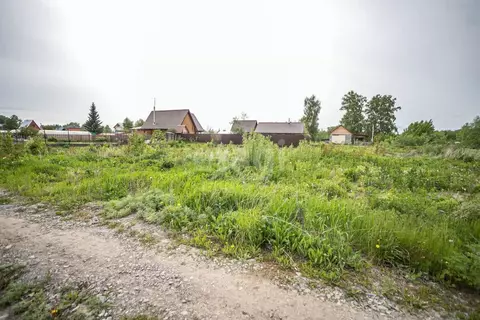 Участок в Новосибирская область, Бердск Слава садовое товарищество, ...