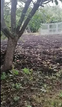 Участок в Башкортостан, Кармаскалинский район, Кабаковский сельсовет, ...