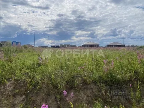 Участок в Тюменская область, Тюменский муниципальный округ, Онегин кп  ...