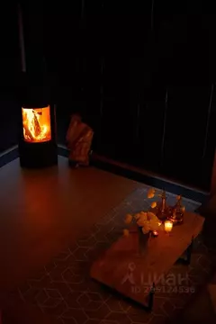 Дом в Алтай, Чемальский район, с. Узнезя ул. Звездная, 2Ак1 (50 м)