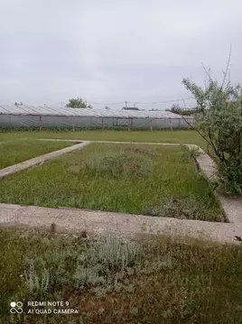 Участок в Саратовская область, Энгельсский район, Терновское ...