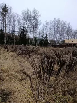 Участок в Московская область, Щелково городской округ, Новое Трубино ...