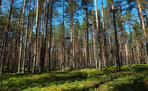 Участок в Тульская область, Заокский район, Малаховское с/пос, Усадьба ...