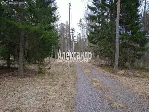 Участок в Громовское сельское поселение (553 м)