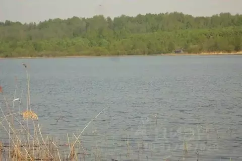 Участок в Псковская область, Плюсский муниципальный округ, д. Ктины  ...