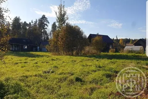 Участок в Ленинградская область, Приозерский район, Раздольевское ...