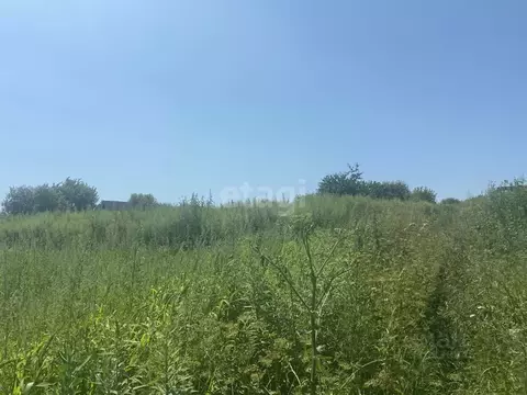 Участок в Брянская область, Брянск Снежка ГСО,  (8.0 сот.)
