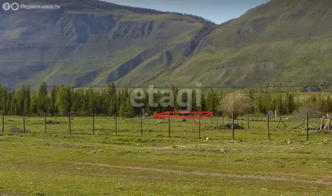 Участок в Улаганский район, село Акташ (12.8 м)