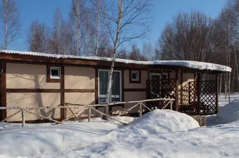 Дом в Тульская область, Ясногорский район, Иваньковское с/пос, Алино ...