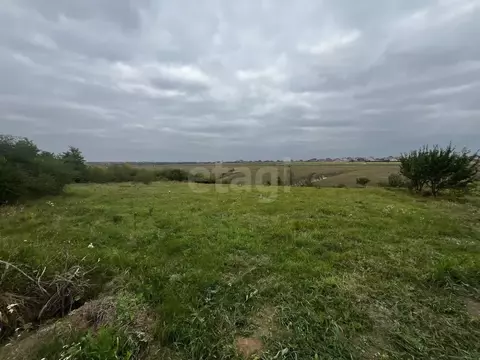 Участок в Белгородская область, Белгородский район, Новосадовское ...