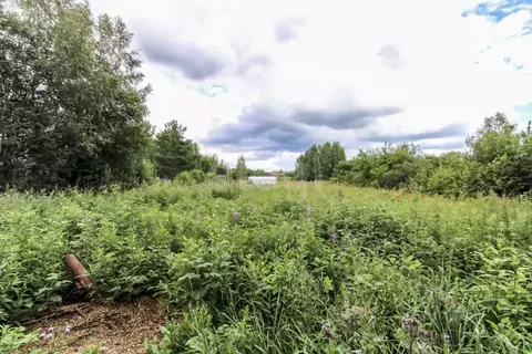 Участок в Тюменская область, Нижнетавдинский муниципальный округ, ...