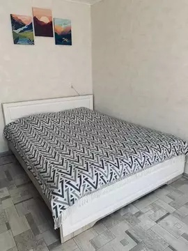 1-к кв. Пермский край, Чайковский ул. Кабалевского, 15 (27.0 м)