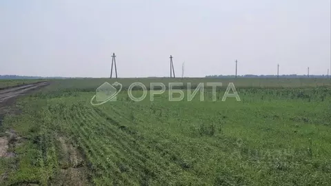 Участок в Тюменская область, Тюменский муниципальный округ, с. Луговое ...