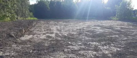 Участок в Ленинградская область, Ломоносовский район, Лопухинское ...