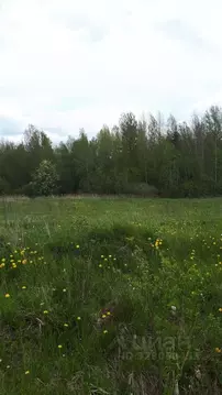 Участок в Санкт-Петербург, Санкт-Петербург, Пушкин Кондакопшино тер., ...