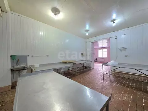 Склад в Калужская область, Тарусский муниципальный округ, с. ...