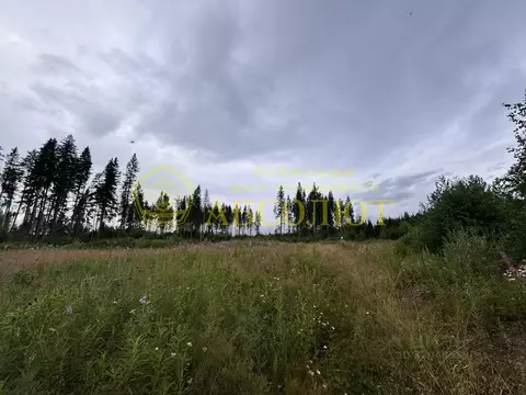 Участок в Свердловская область, Ревда муниципальный округ, с. Мариинск ...