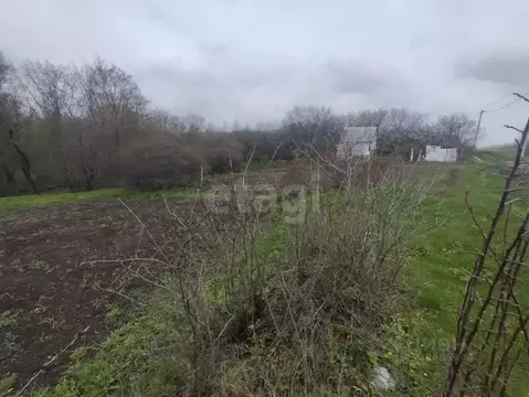 Участок в Белгородская область, Строитель Яковлевский городской округ, ...