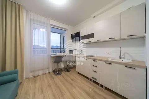 Студия Московская область, Домодедово городской округ, с. Домодедово ...