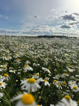 Участок в Тюменская область, Тюменский муниципальный округ, ...