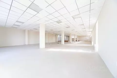 Торговая площадь в Московская область, Ступино городской округ, ...