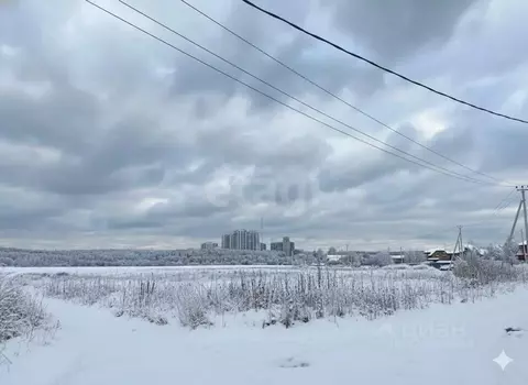 Участок в Калужская область, Боровский муниципальный округ, Кривское ...