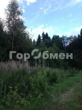 Участок в Московская область, Сергиево-Посадский городской округ, ...