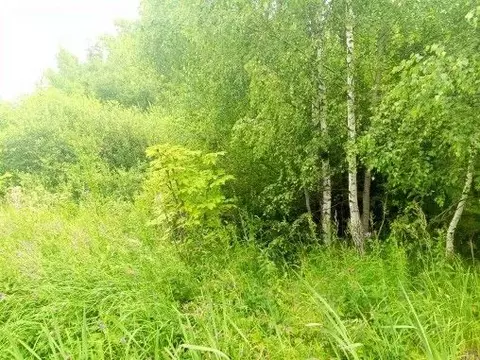 Участок в Московская область, Чехов муниципальный округ, д. Дулово  ...