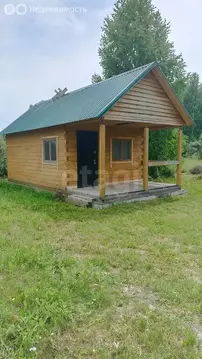 Дом в Новосибирская область, Коченёвский муниципальный район, ...