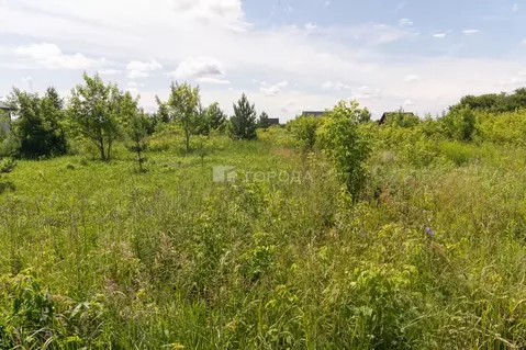 Участок в Алтайский край, Первомайский район, пос. Новый ул. Шукшина, ...