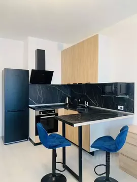 Студия Санкт-Петербург просп. Авиаконструкторов, 69 (25.0 м)