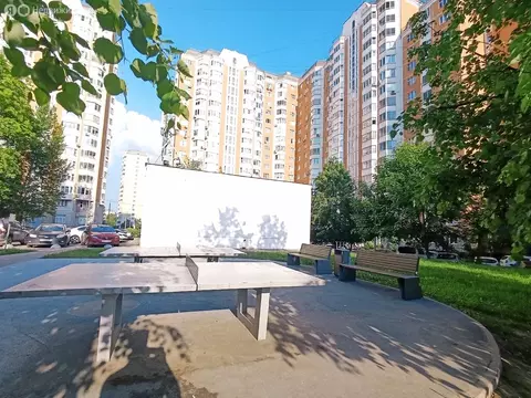 Квартира-студия: Москва, Широкая улица, 11 (11 м)