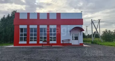 Помещение свободного назначения в Тюменская область, с. Нижняя Тавда ...
