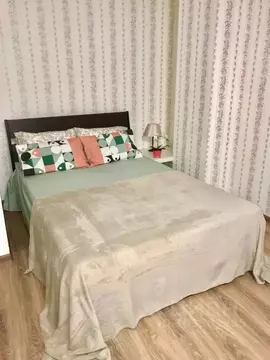 1-к кв. Самарская область, Самара Самарская ул., 265 (55.0 м)